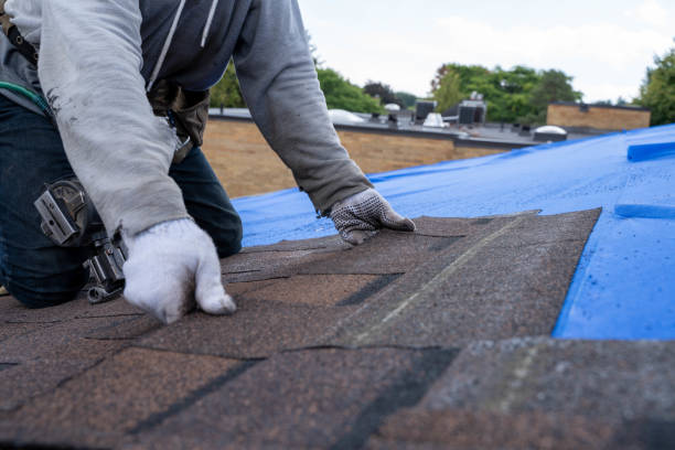 Best Residential Roofing Contractor  in Neoga, IL